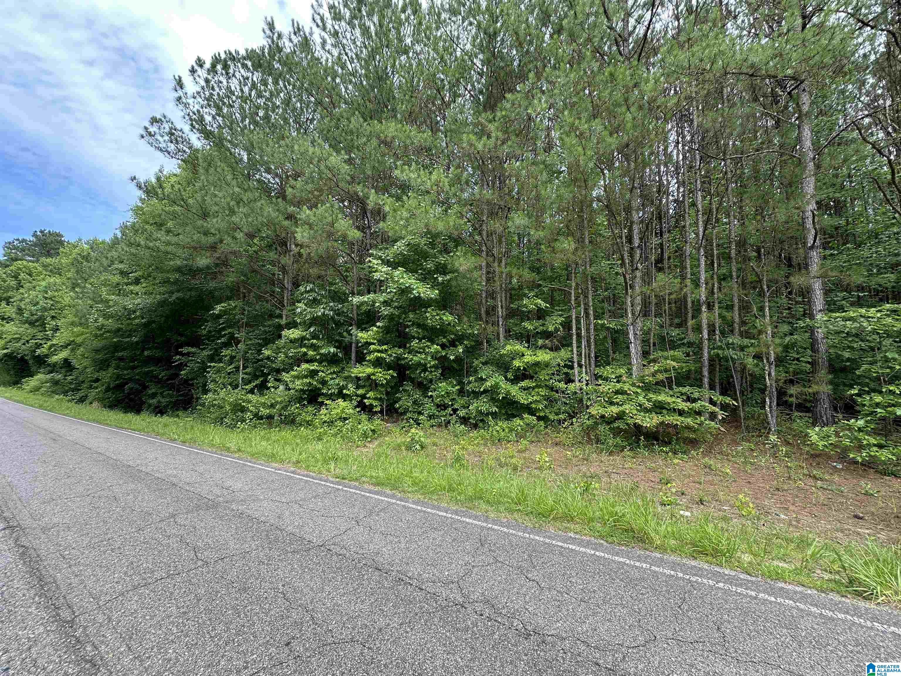 0 County Road 3 Delta, AL 36258 - Photo 2 of 4