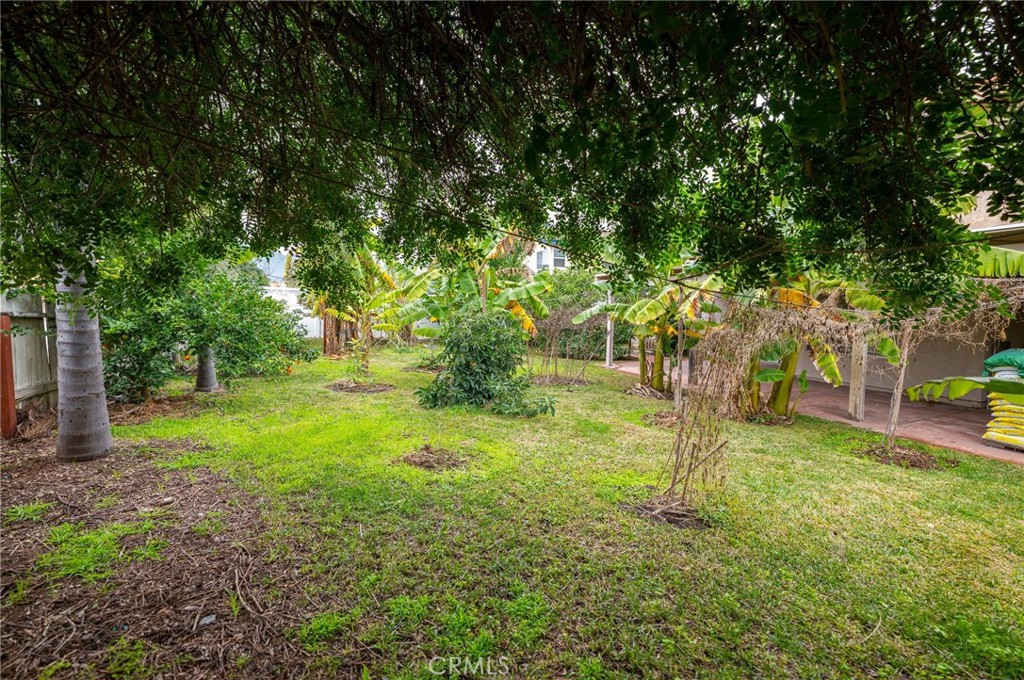 7444 Webster Street Highland, CA 92346 - Photo 32 of 37 a view of a yard with a tree