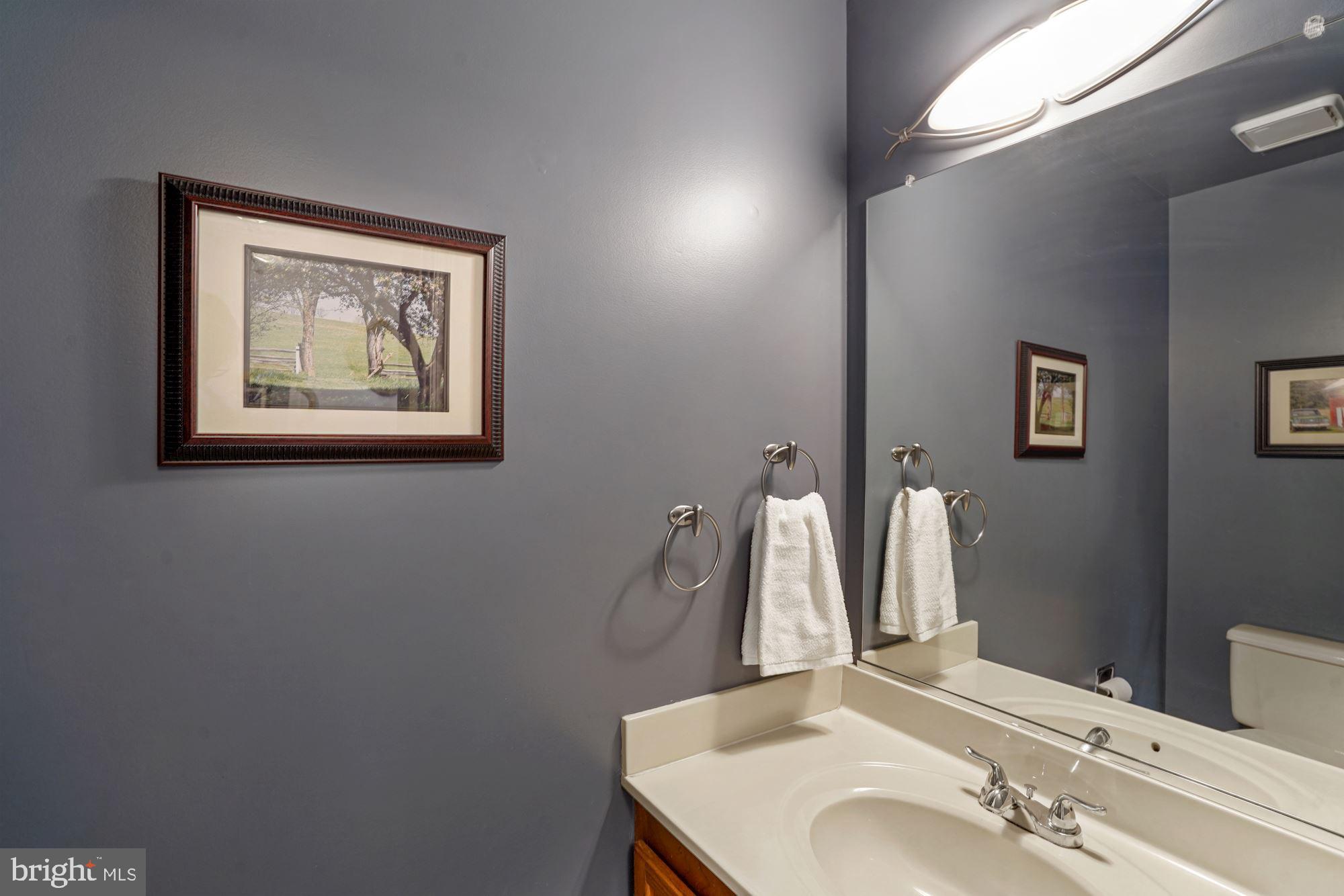 11730 Great Owl Circle Reston, VA 20194 - Photo 12 of 35 Main Level Powder Room