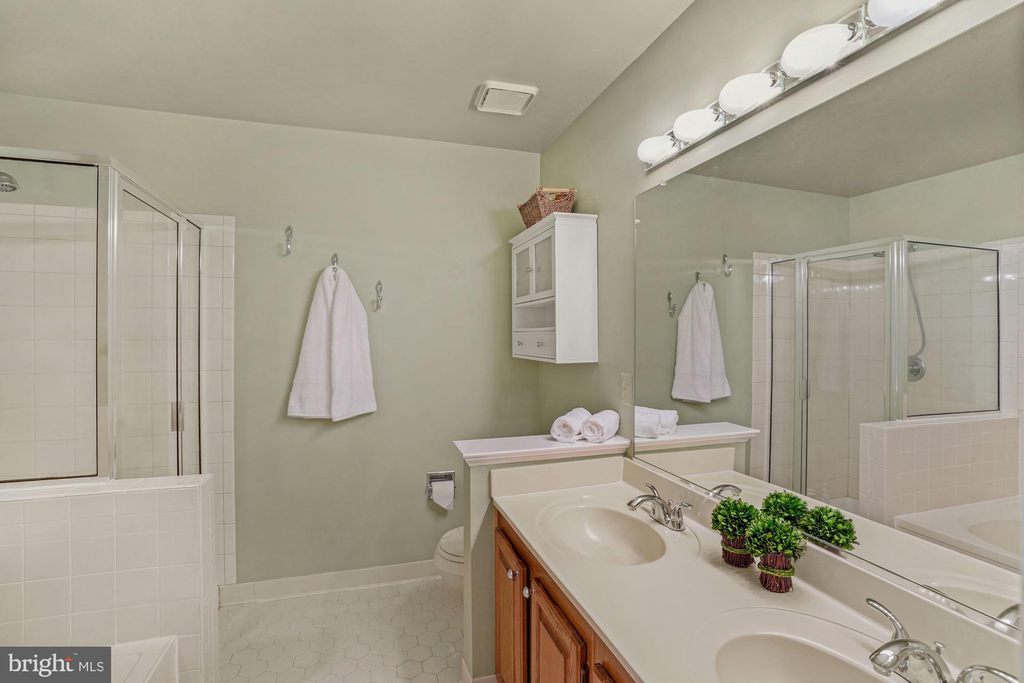 11730 Great Owl Circle Reston, VA 20194 - Photo 18 of 35 Primary Bath with Double Sink Vanity