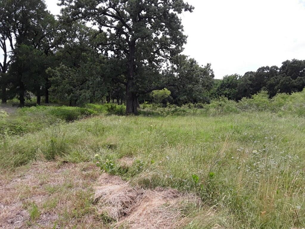 6355 Newt Patterson Road, Unit A Mansfield, TX 76063 - Photo 12 of 27 a big yard with lots of green space and deers