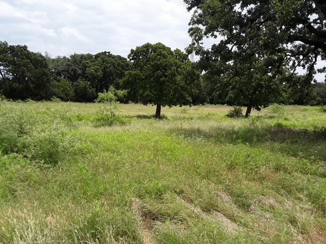 6355 Newt Patterson Road, Unit A Mansfield, TX 76063 - Photo 13 of 27 a view of a yard with a tree