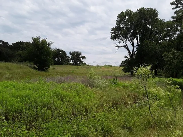 a view of a garden with an trees