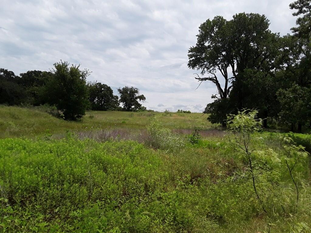 6355 Newt Patterson Road, Unit A Mansfield, TX 76063 - Photo 15 of 27 a view of a garden with an trees