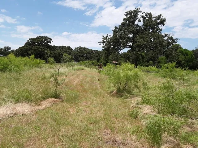 a view of a lake with trees in the background