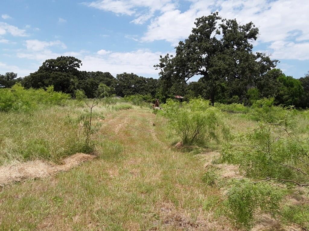 6355 Newt Patterson Road, Unit A Mansfield, TX 76063 - Photo 16 of 27 a view of a lake with trees in the background