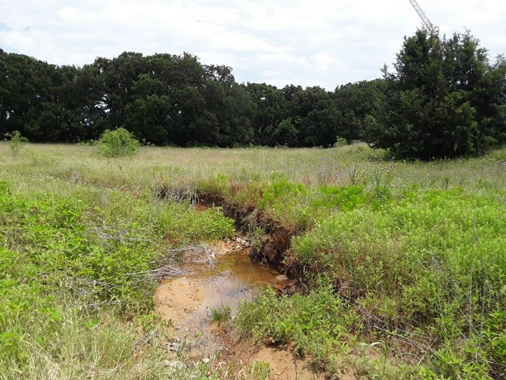 6355 Newt Patterson Road, Unit A Mansfield, TX 76063 - Photo 17 of 27 a view of a forest with a lake