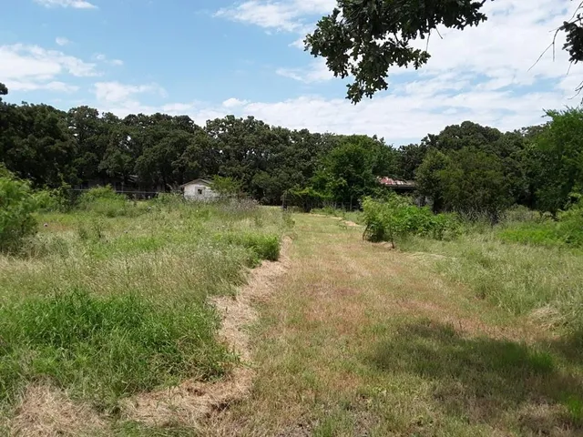 a view of a lush green forest with lots of trees