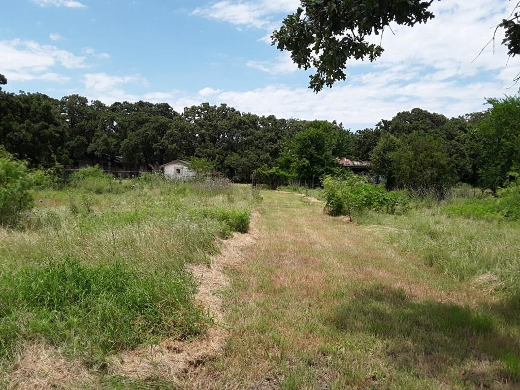 6355 Newt Patterson Road, Unit A Mansfield, TX 76063 - Photo 18 of 27 a view of a lush green forest with lots of trees