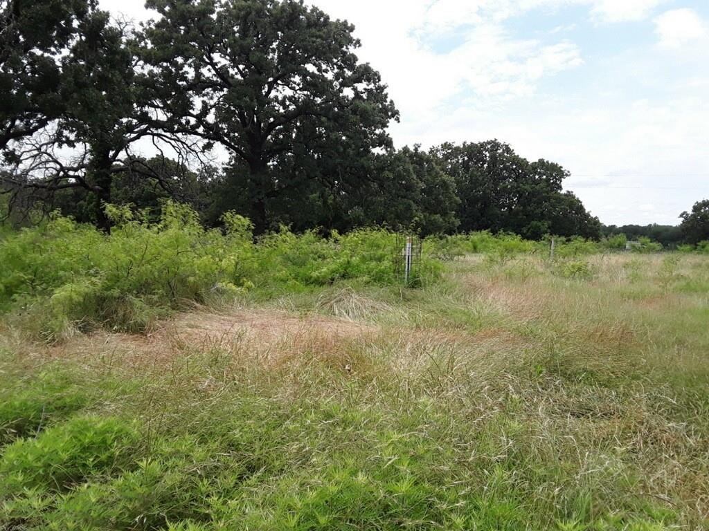 6355 Newt Patterson Road, Unit A Mansfield, TX 76063 - Photo 22 of 27 a view of a yard with a tree