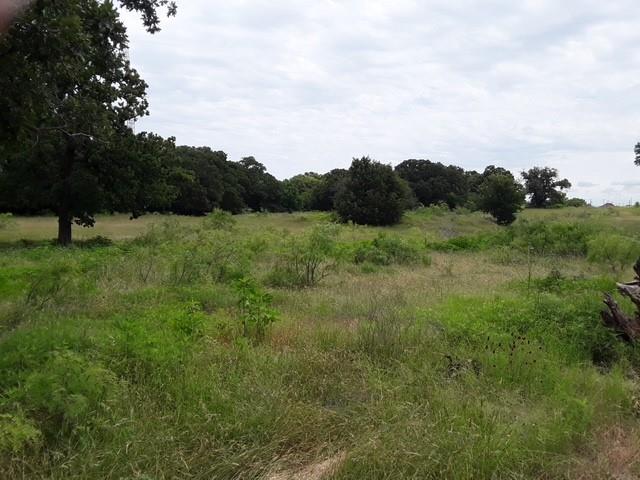 6355 Newt Patterson Road, Unit A Mansfield, TX 76063 - Photo 23 of 27 a view of a lush green field