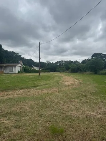a view of a garden with a chair