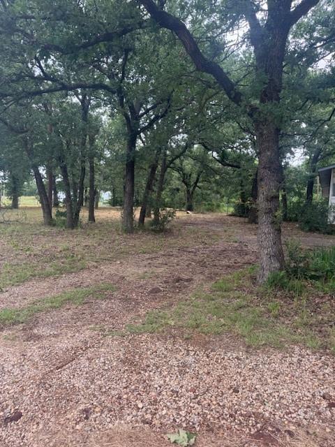 6355 Newt Patterson Road, Unit A Mansfield, TX 76063 - Photo 4 of 27 a view of a yard with a tree