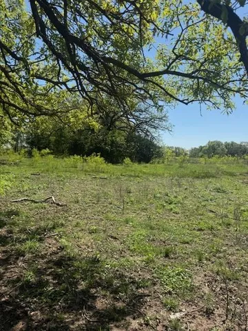 a view of a yard with an trees