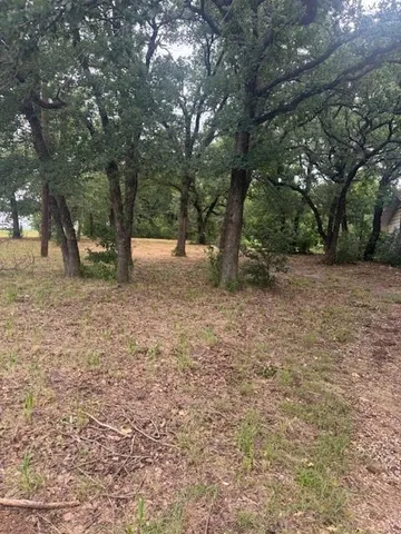 a view of backyard with tree
