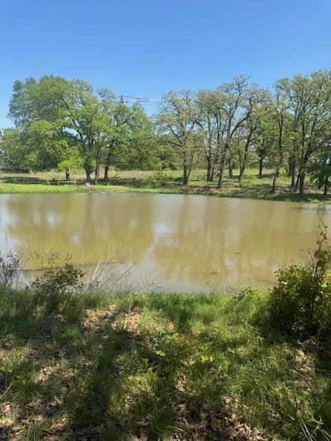 6355 Newt Patterson Road, Unit A Mansfield, TX 76063 - Photo 7 of 27 a view of a lake with a mountain in the background