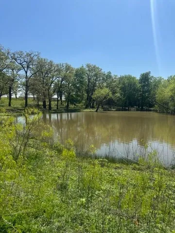 a view of a lake with a yard and large trees