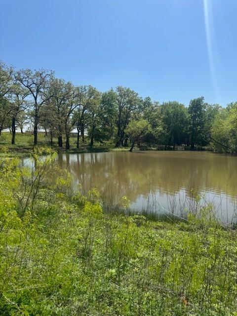 6355 Newt Patterson Road, Unit A Mansfield, TX 76063 - Photo 8 of 27 a view of a lake with a yard and large trees
