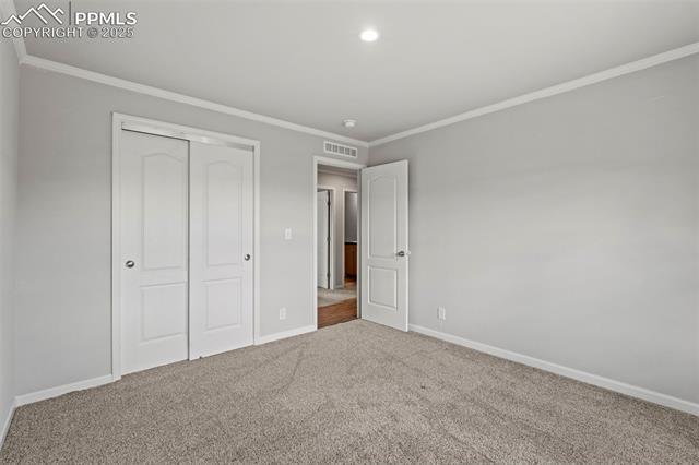 567 High Pasture Road Florissant, CO 80816 - Photo 29 of 48 Bedroom with carpet flooring, ornamental molding, and a closet