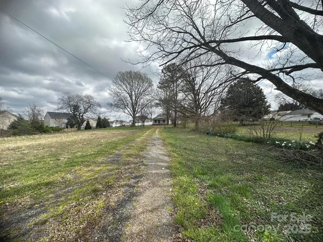 a view of a yard with an tree