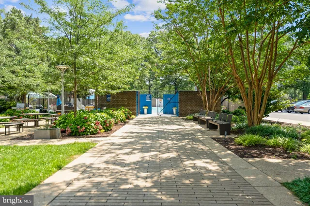 a view of a house with a yard and tree s