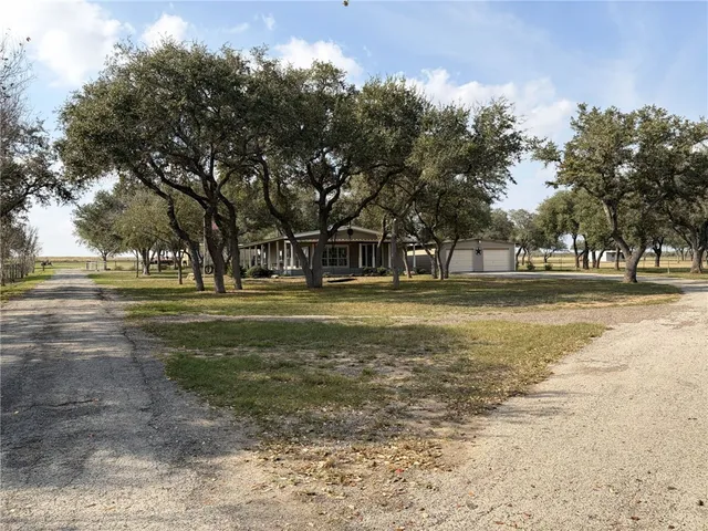 a view of a trees in a park