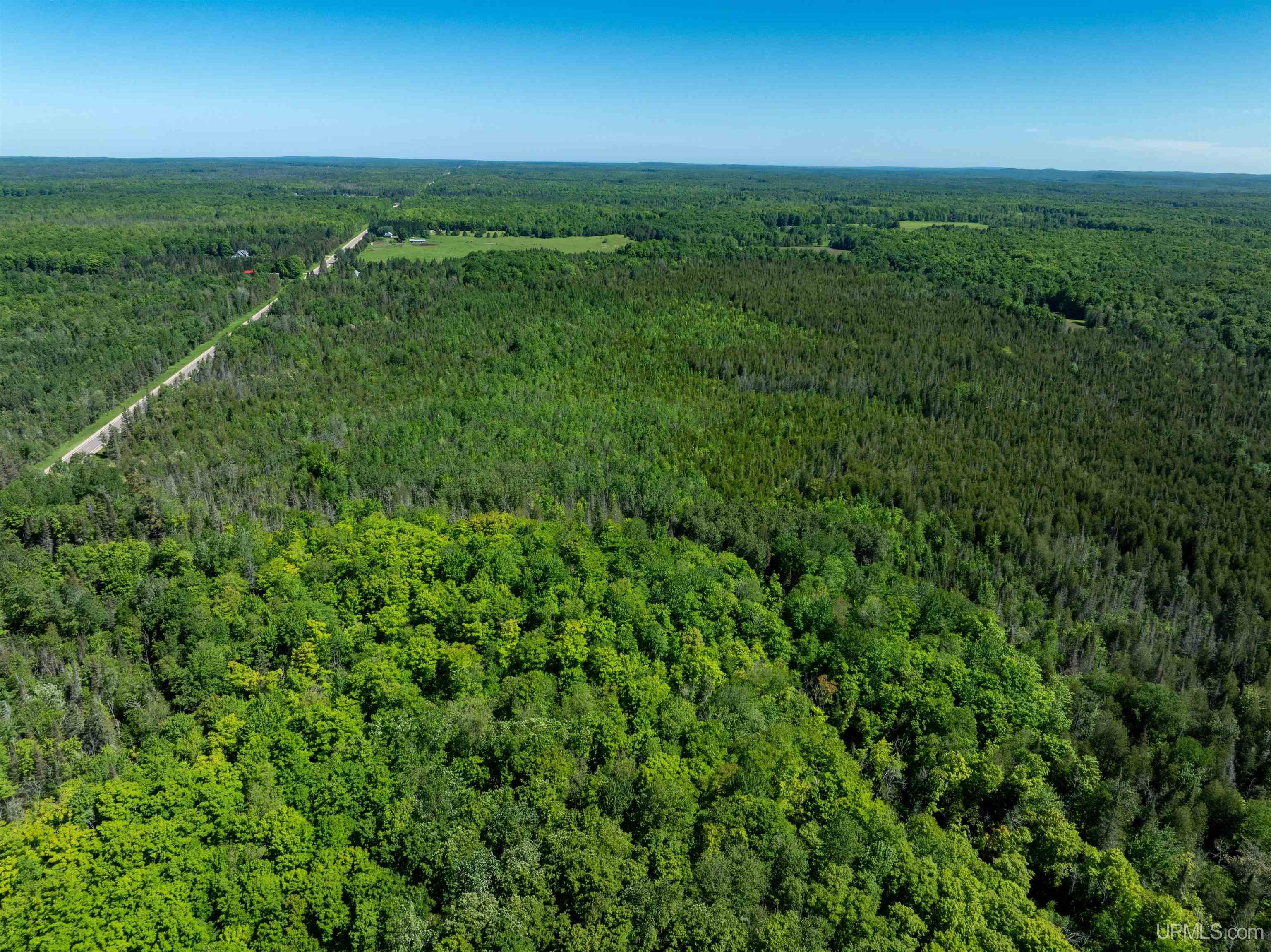 M67 Rd Trenary Mi 49816 Road Chatham, MI 49816 - Photo 3 of 12