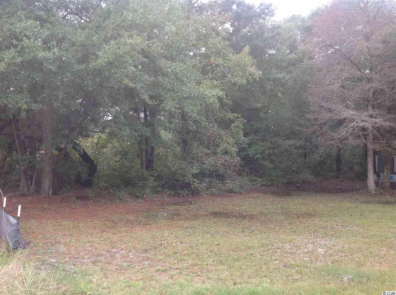 11380 Mcdowell Shortcut Road Murrells Inlet, SC 29576 - Photo 2 of 2