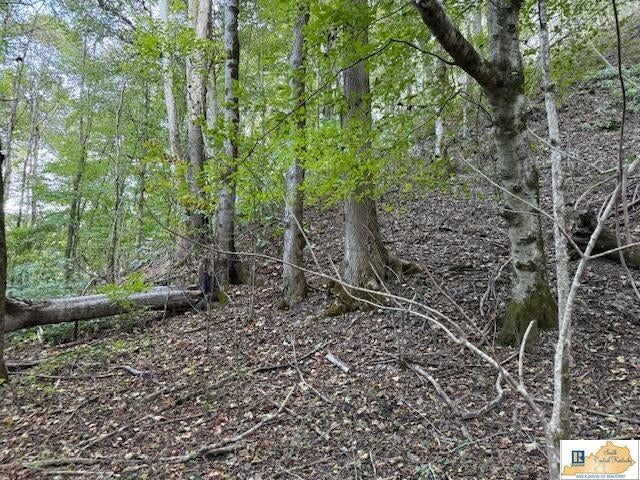 20-ac Neat Road Columbia, KY 42728 - Photo 28 of 29 Gallery Image 28