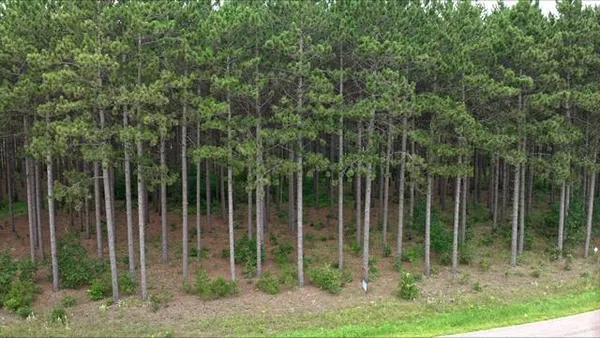 $70,000 | 391 Twin Lakes Drive, Nekoosa, WI 54457