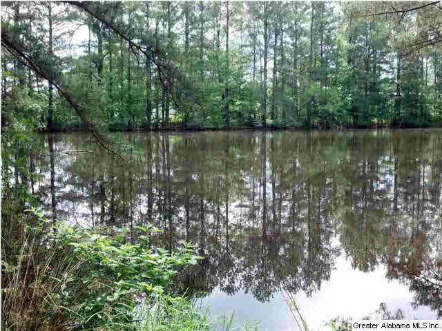 9868 Highway 431 Alexandria, AL 36250 - Photo 5 of 28