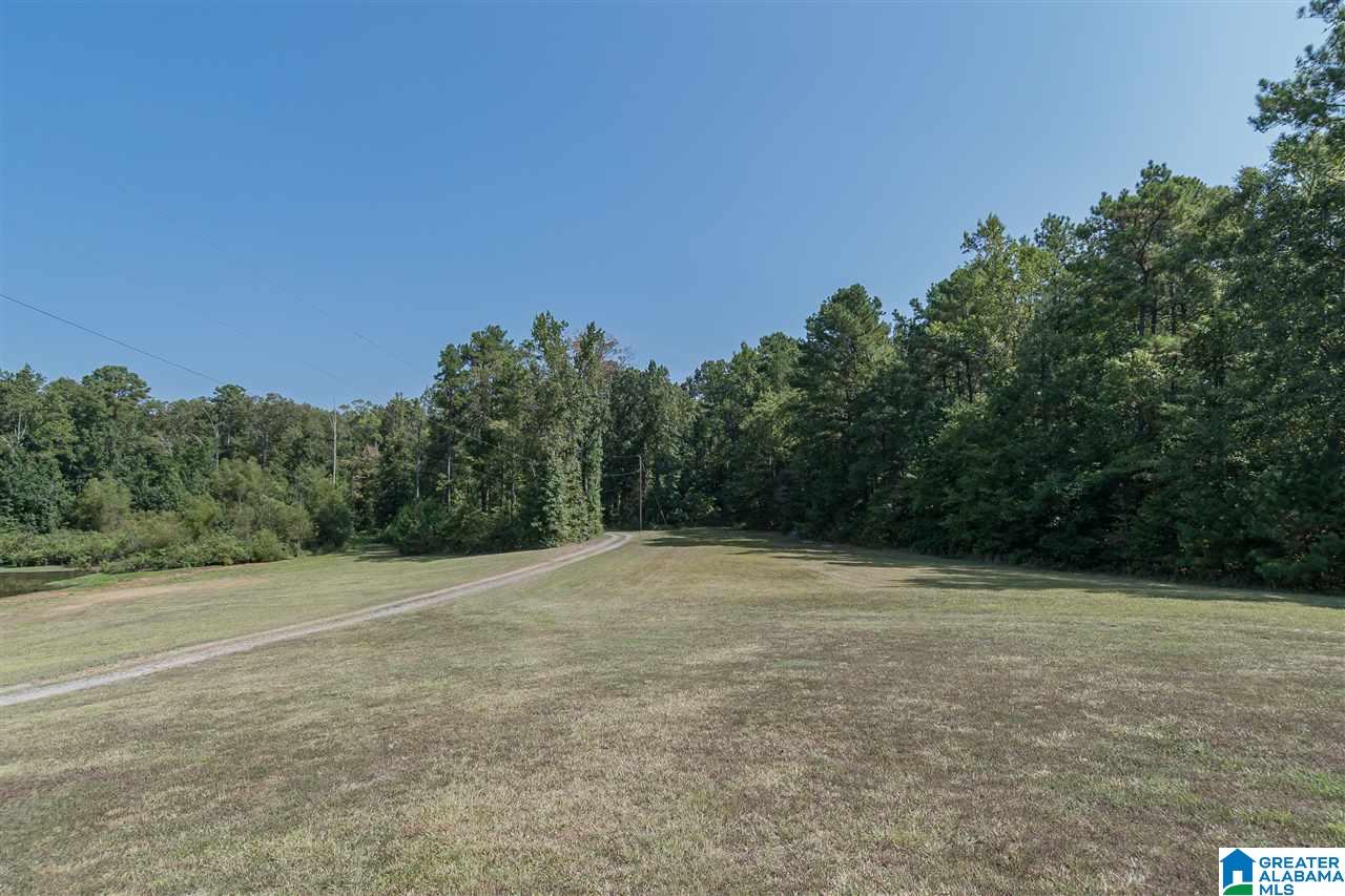 94 Rose Road Vincent, AL 35178 - Photo 40 of 40