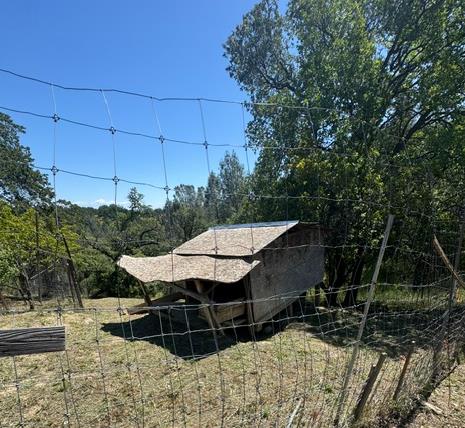 16164 Nugget Road Corning, CA 96021 - Photo 20 of 53 a backyard of a house with wooden fence and mountain view