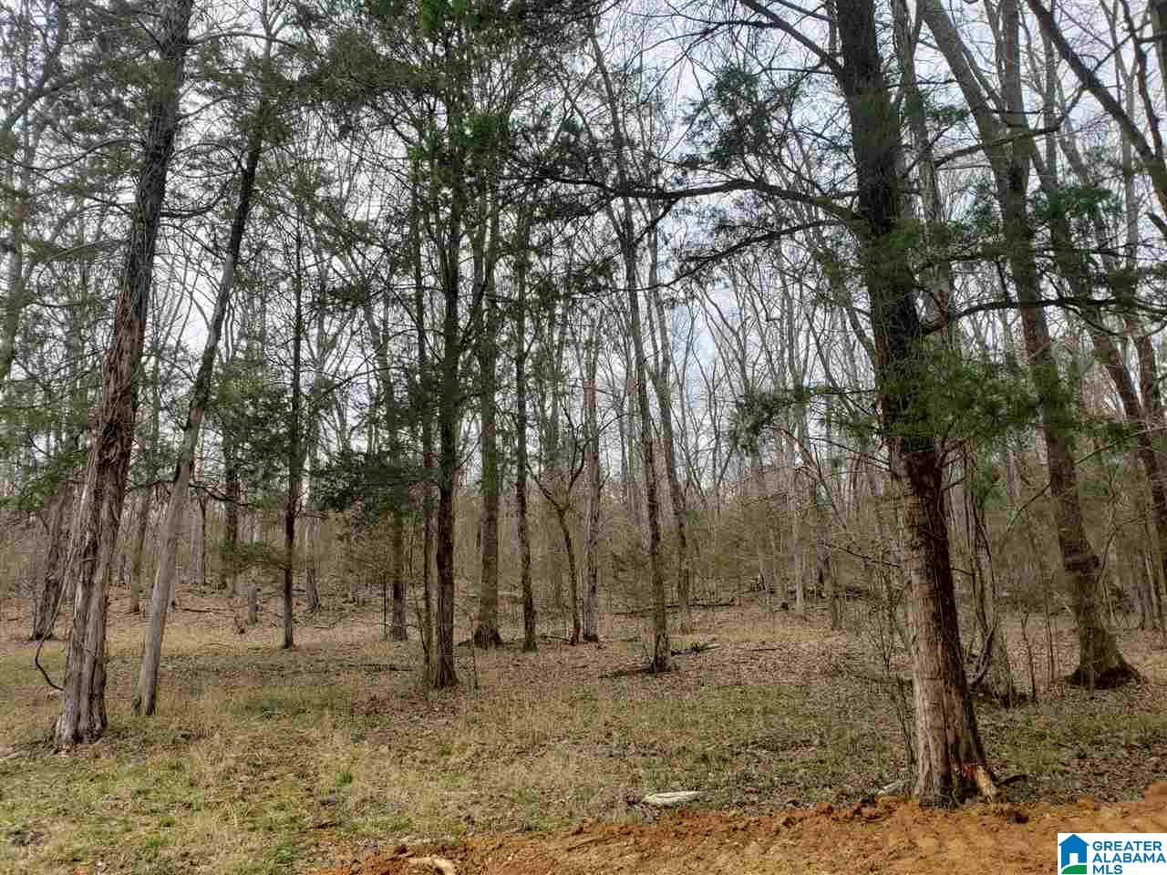 0 Remlap Drive, Unit 1 Remlap, AL 35133 - Photo 7 of 11