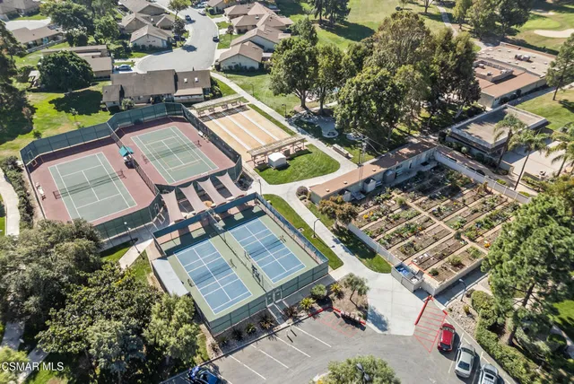 a view of a park with a tree