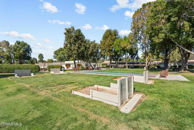a view of a park with large trees