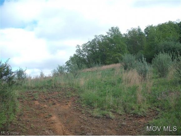 0 Rt 16 Harrisville, WV 26362 - Photo 9 of 9 Gallery Image 9