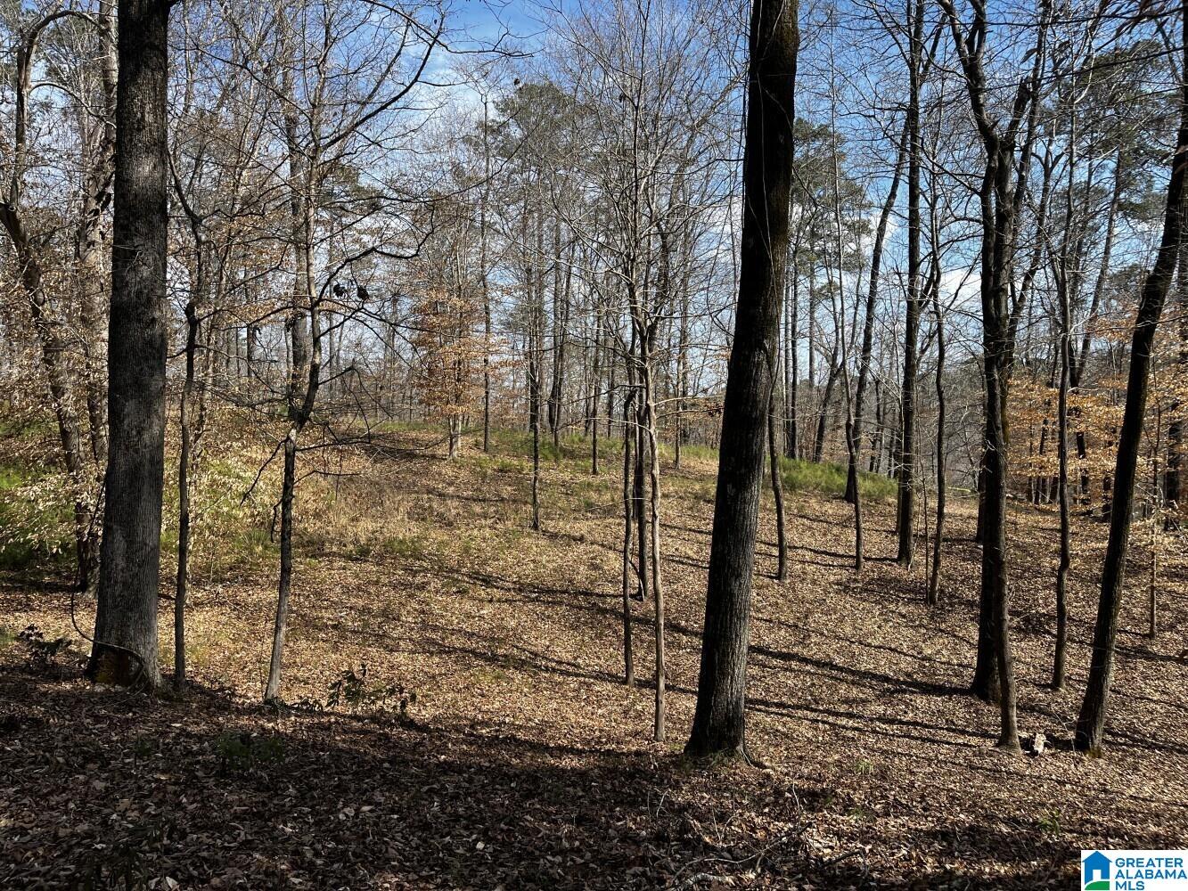 219 Pine Ridge Road, Unit 1 Bessemer, AL 35023 - Photo 32 of 46