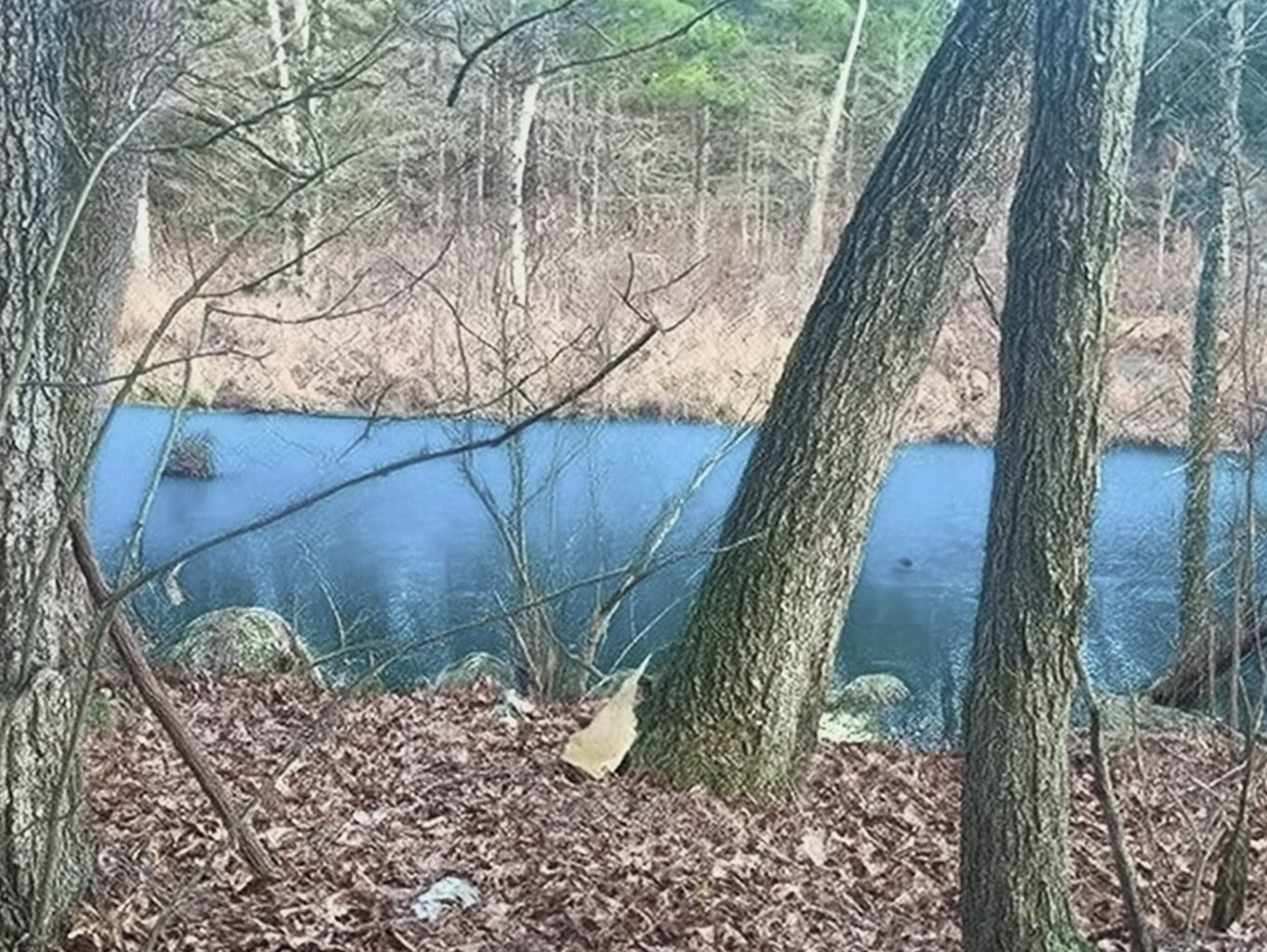 Lot 32 Sheep Pasture Road Southwick, MA 01077 - Photo 2 of 11 Gallery Image 2