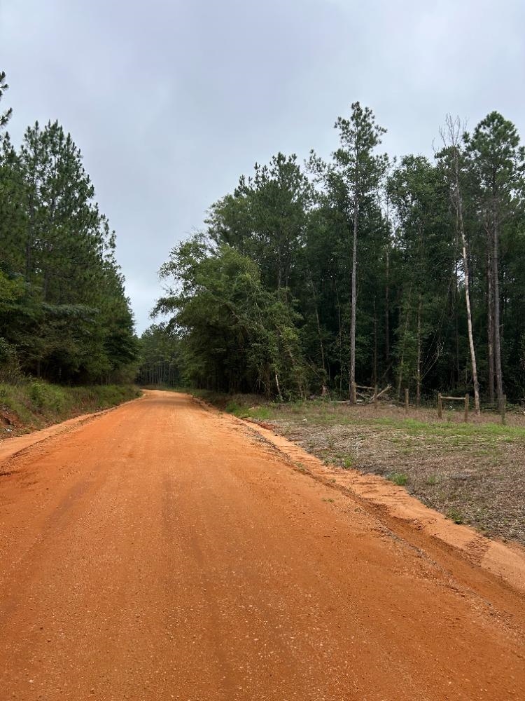 0 Railroad Street Perdido, AL 36562 - Photo 2 of 3
