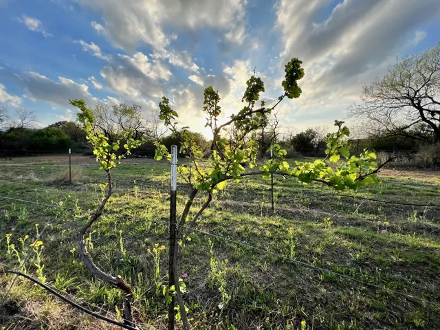 $795,000 | 171 County Road 117, Llano, TX 78643