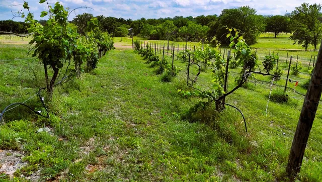 $795,000 | 171 County Road 117, Llano, TX 78643