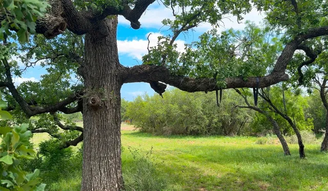 $795,000 | 171 County Road 117, Llano, TX 78643