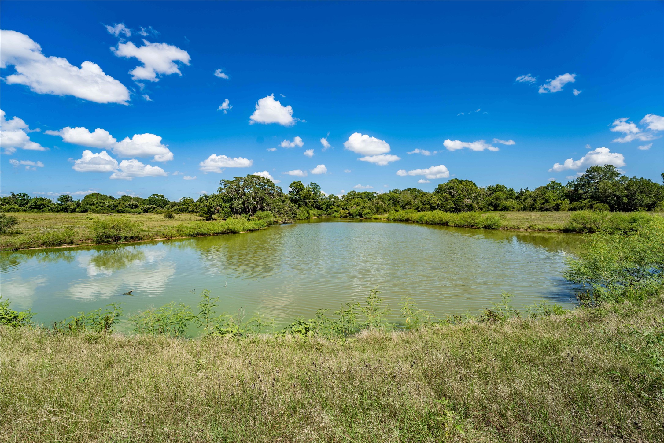 253 Cr 253 Road Weimar, TX 78962 - Photo 1 of 27 a view of a lake with sunset