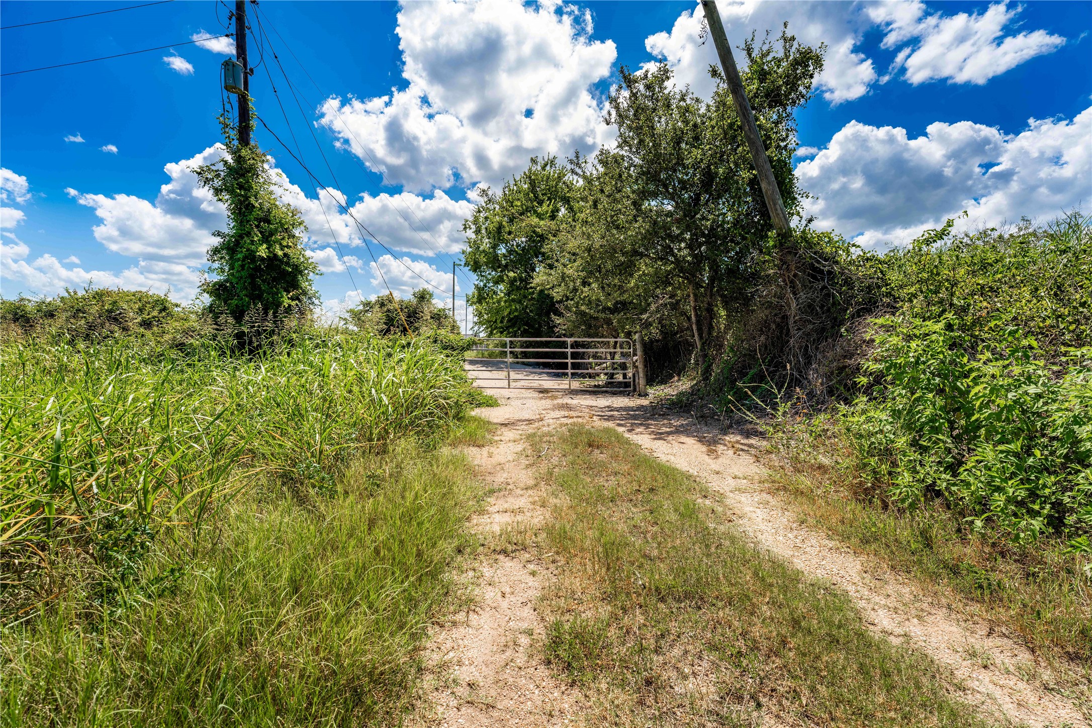 253 Cr 253 Road Weimar, TX 78962 - Photo 21 of 27 a view of outdoor space and yard