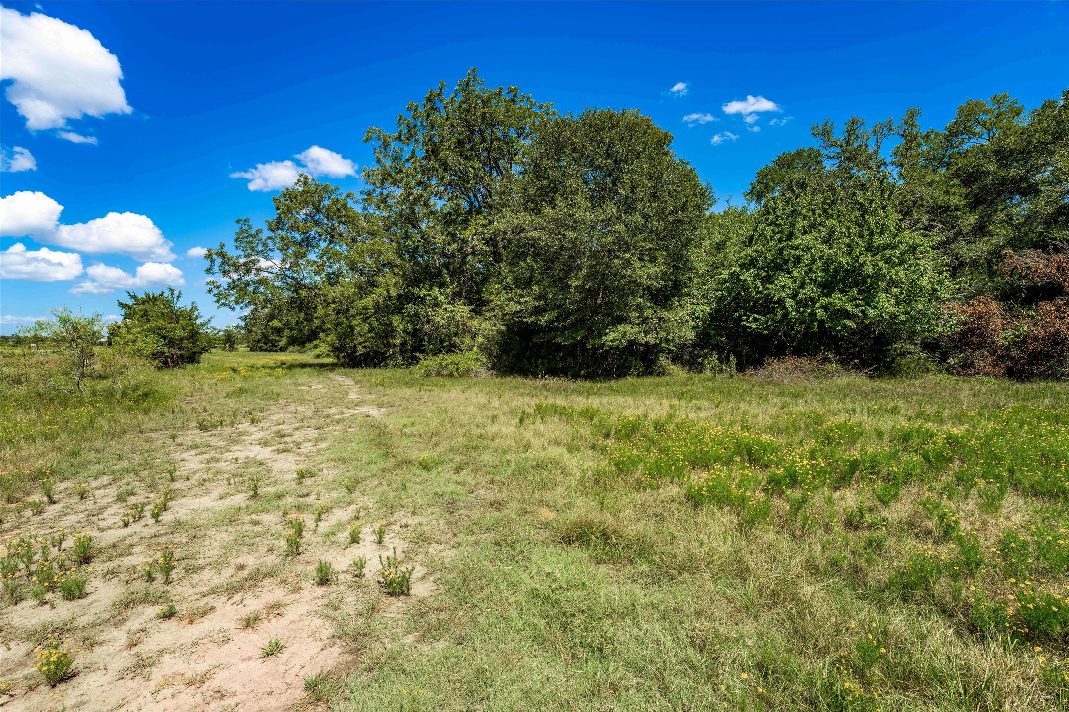253 Cr 253 Road Weimar, TX 78962 - Photo 22 of 27 a view of an outdoor space and a yard