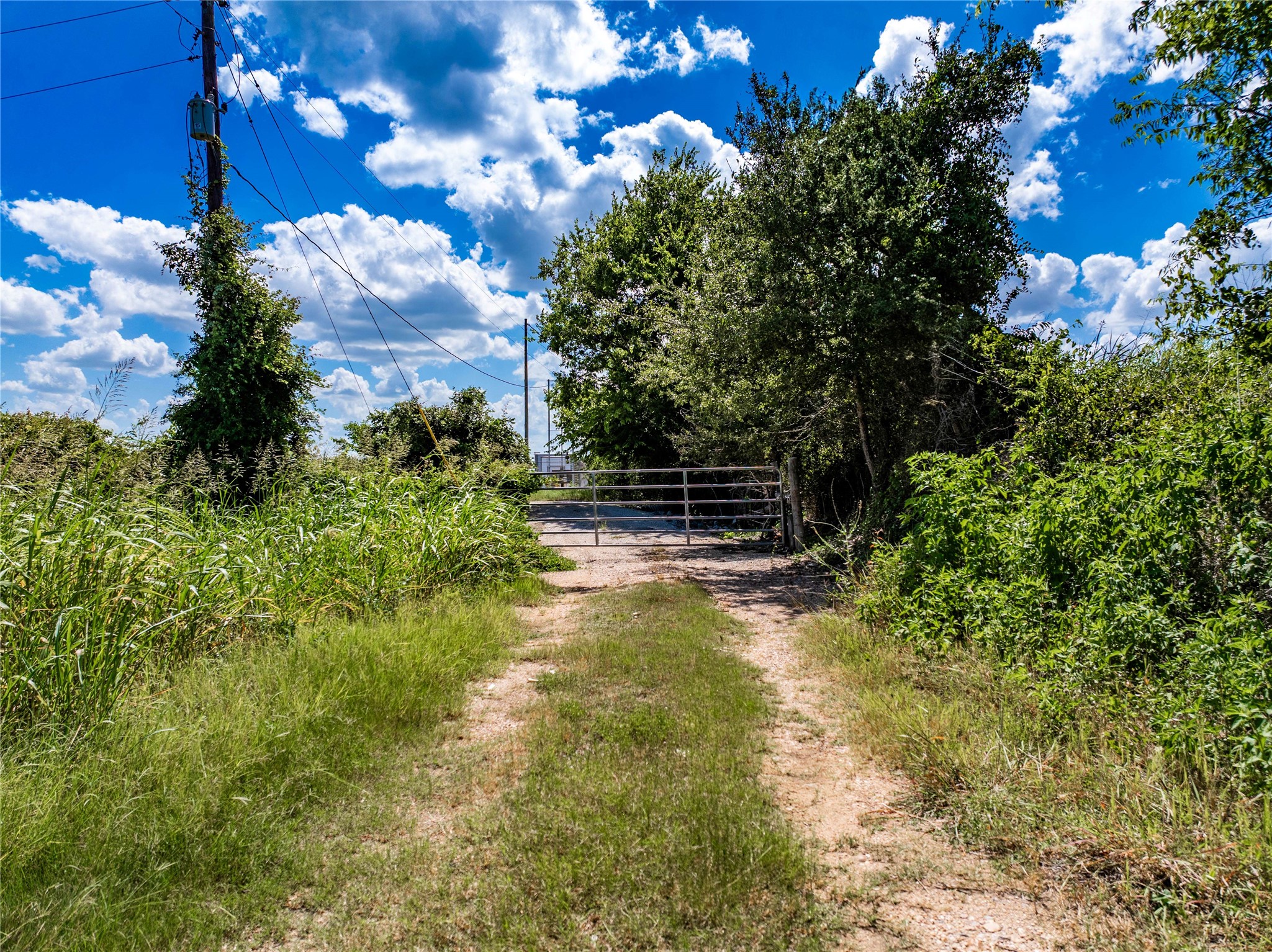 253 Cr 253 Road Weimar, TX 78962 - Photo 25 of 27 a view of yard with tree in the background
