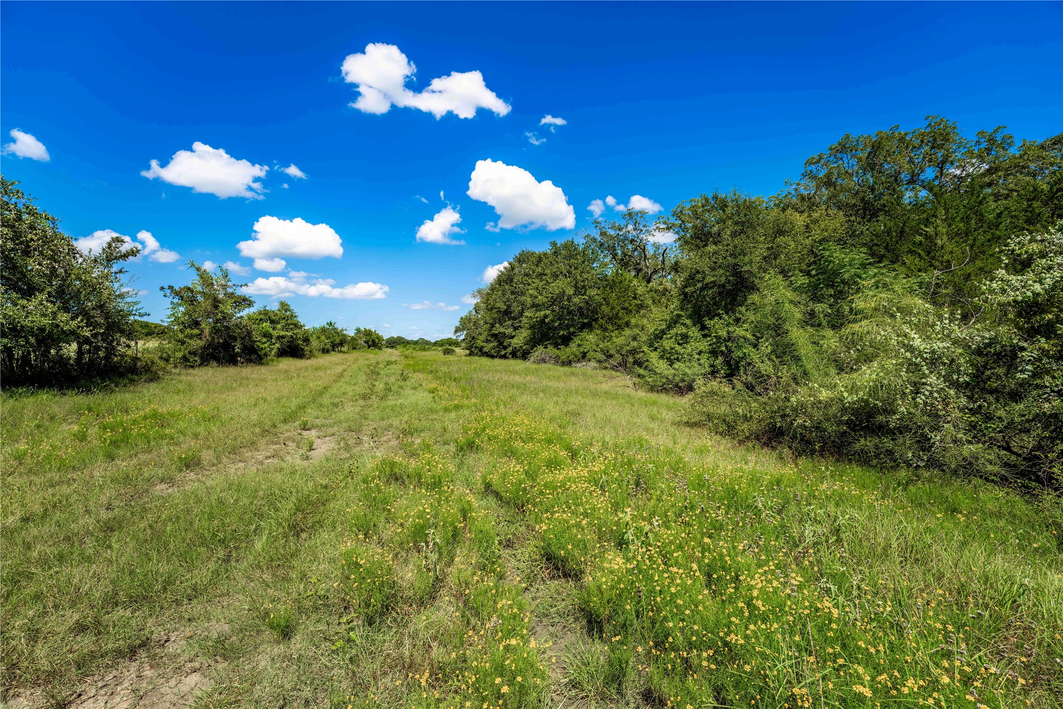 253 Cr 253 Road Weimar, TX 78962 - Photo 26 of 27 a view of a big yard with lots of green space