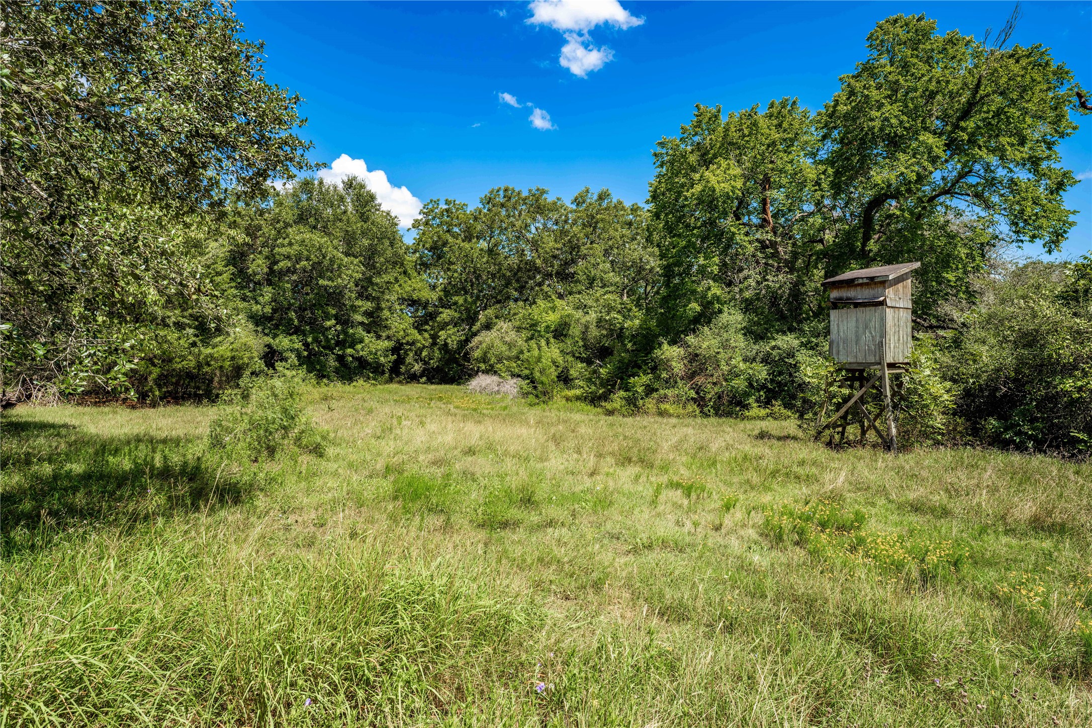 253 Cr 253 Road Weimar, TX 78962 - Photo 4 of 27 a view of a garden