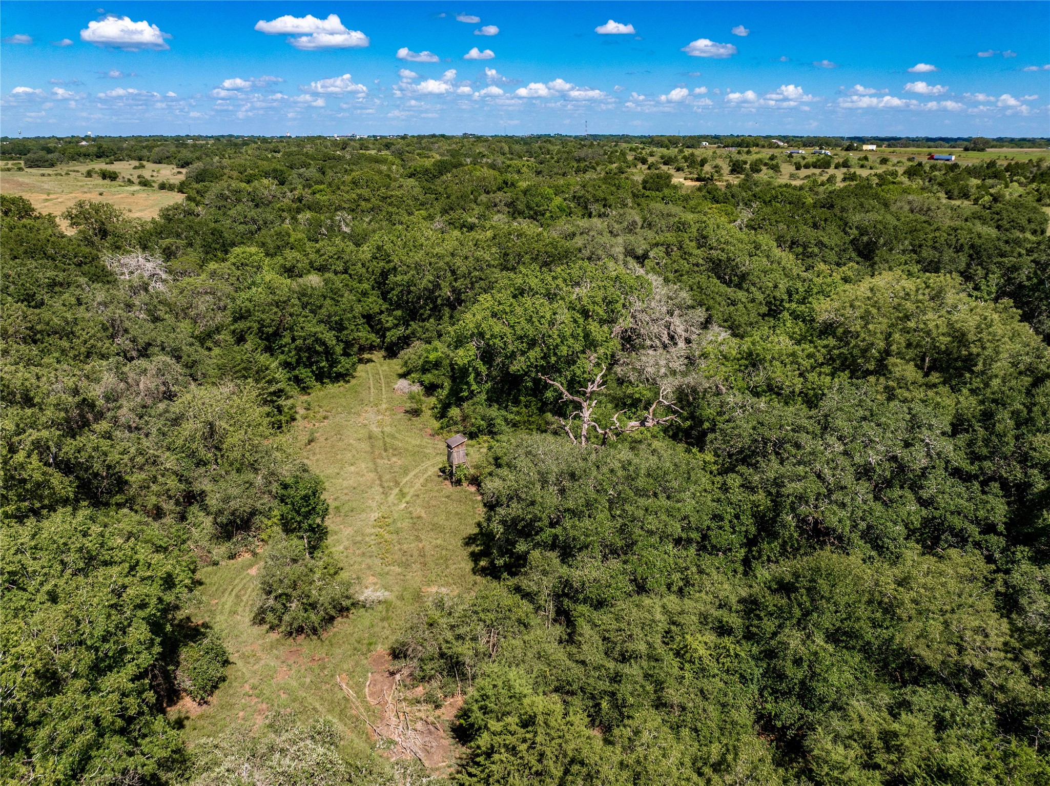 253 Cr 253 Road Weimar, TX 78962 - Photo 8 of 27